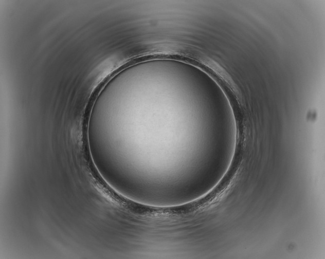 X0000097880834200803141318