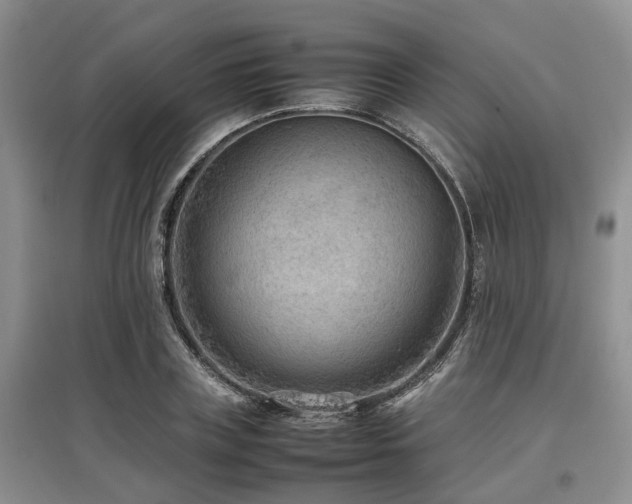 X0000097880835200803141318