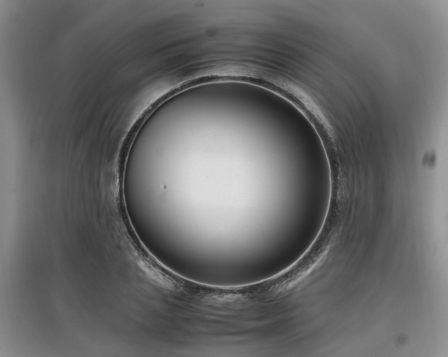 X0000097880837200803141318