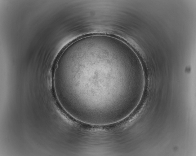 X0000097880838200803141318