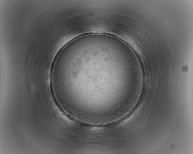 X0000097880839200803141318