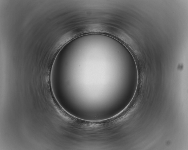 X0000097880841200803141318