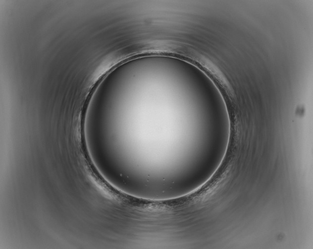 X0000097880842200803141318