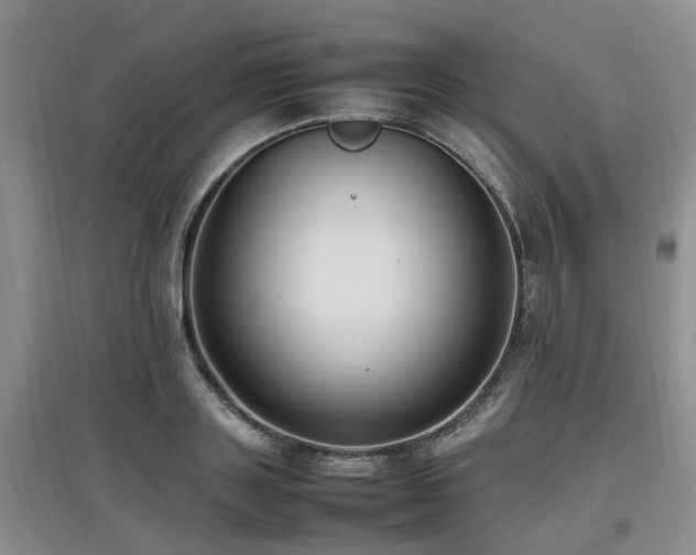 X0000097880843200803141318