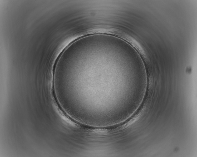 X0000097880844200803141318