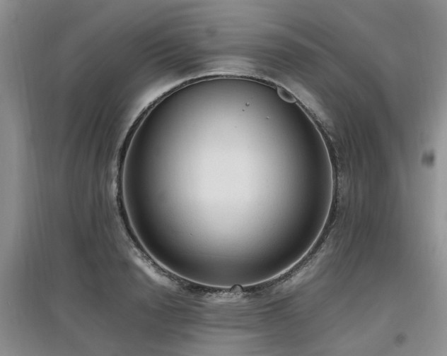 X0000097880846200803141318