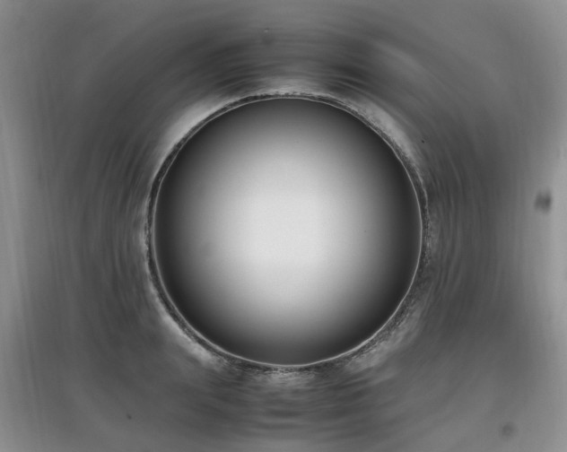 X0000097880847200803141318