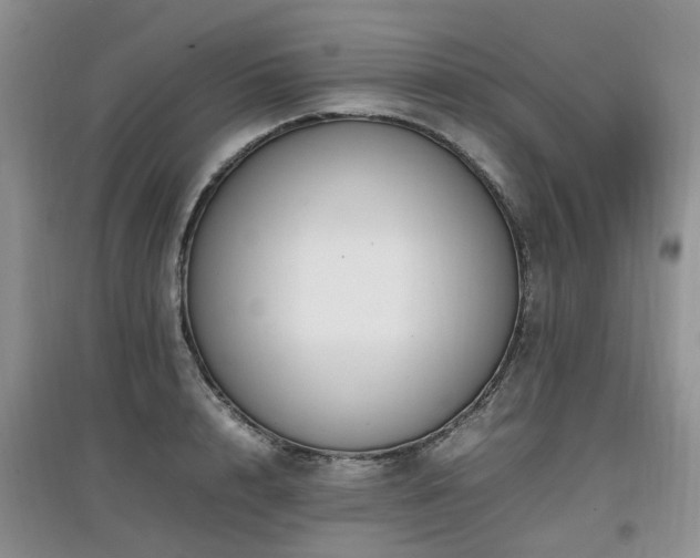 X0000097880848200803141318