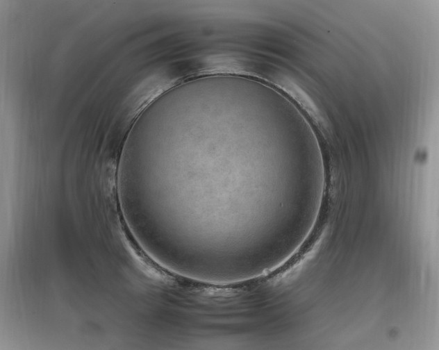 X0000097880849200803141318