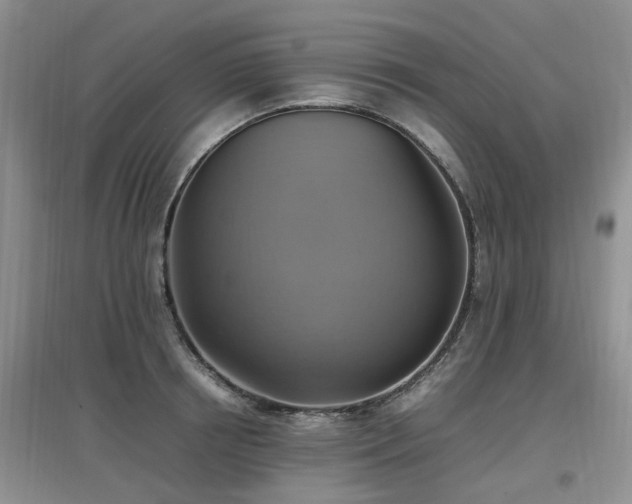 X0000097880850200803141318