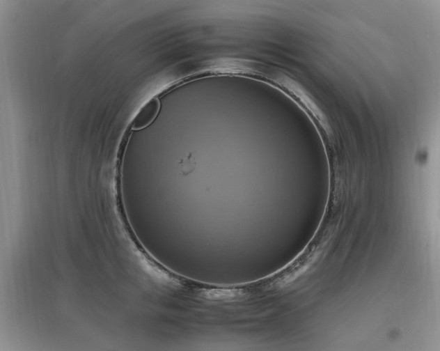 X0000097880853200803141318