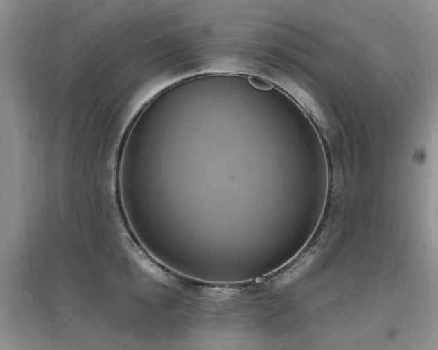 X0000097880854200803141318