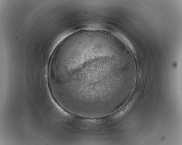 X0000097880855200803141318