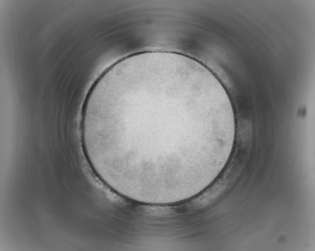 X0000097880856200803141318
