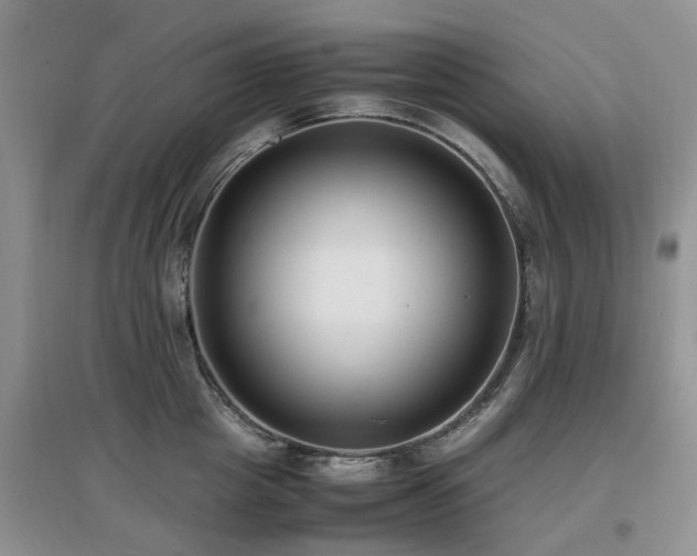 X0000097880857200803141318