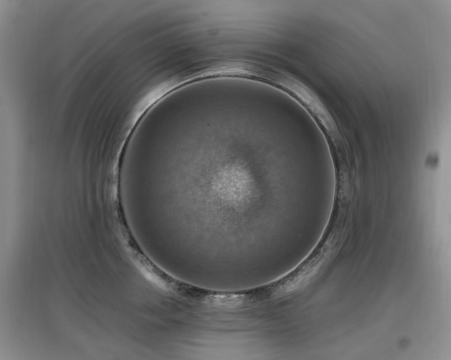X0000097880858200803141318