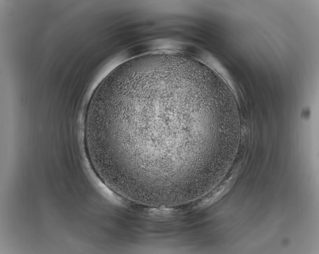 X0000097880859200803141318