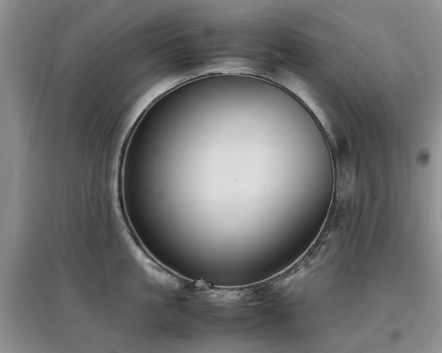X0000097880861200803141318