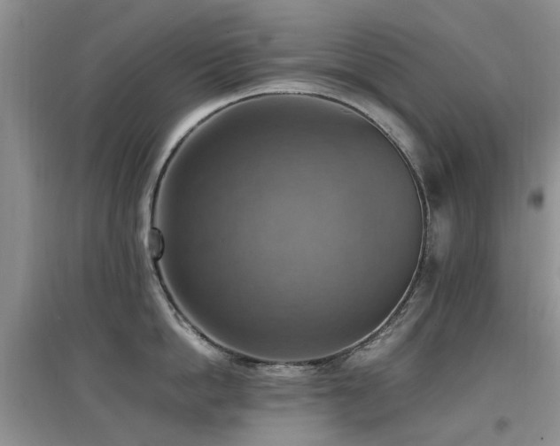 X0000097880862200803141318