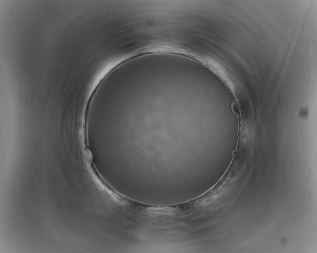 X0000097880863200803141318