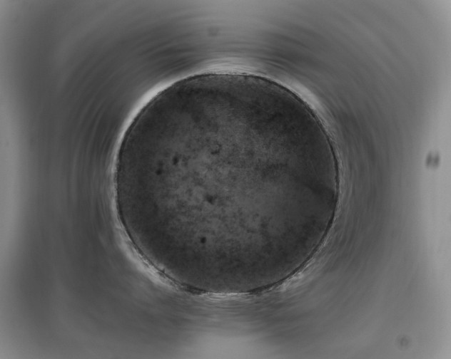 X0000097880864200803141318