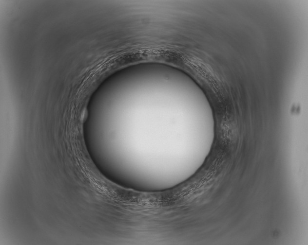 X0000097880865200803141318