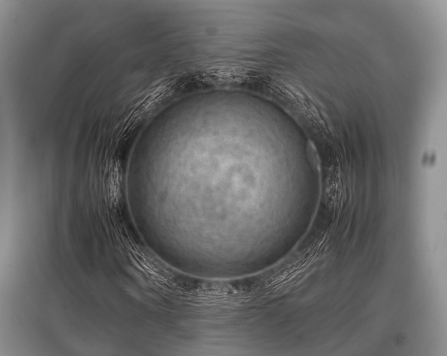 X0000097880866200803141318