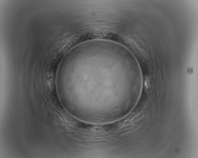 X0000097880867200803141318