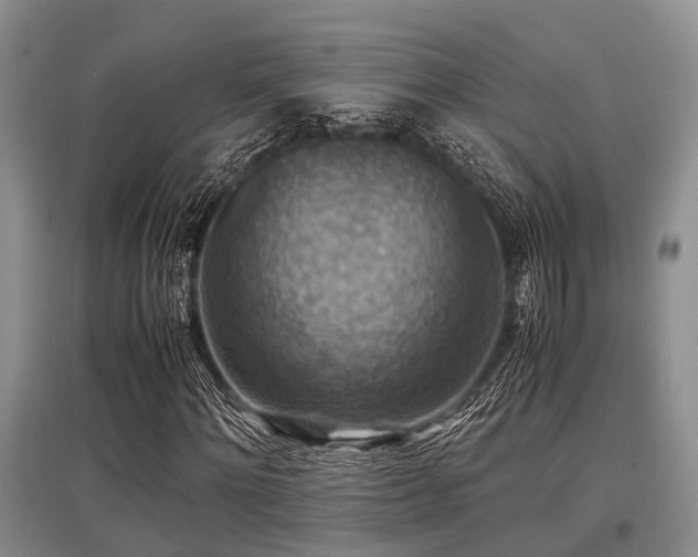 X0000097880868200803141318