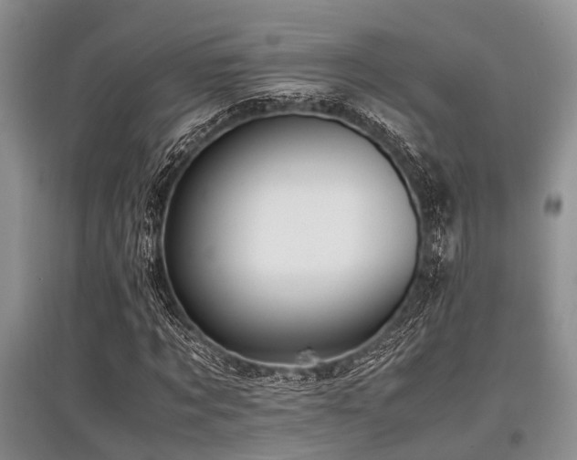 X0000097880869200803141318