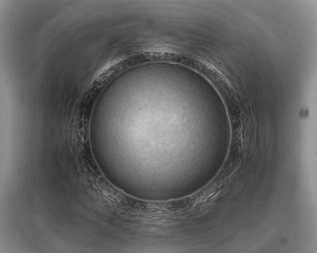 X0000097880870200803141318
