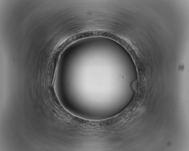 X0000097880871200803141318