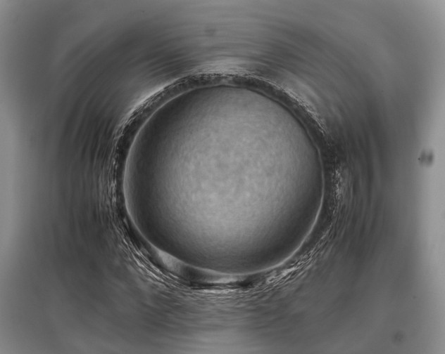 X0000097880872200803141318