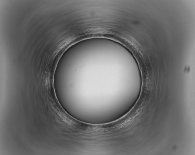 X0000097880873200803141318