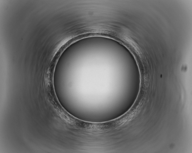 X0000097880875200803141318