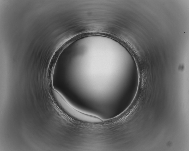 X0000097880876200803141317