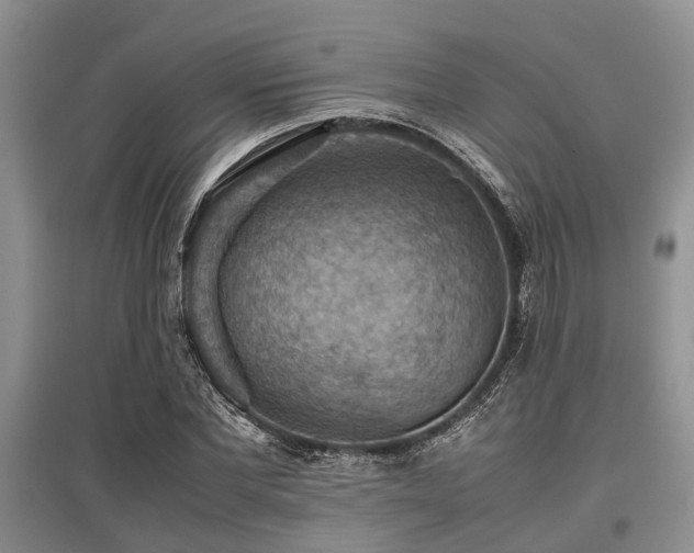 X0000097880877200803141317