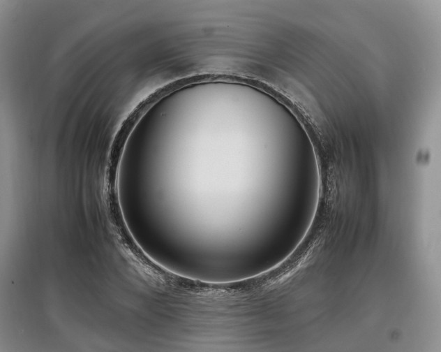 X0000097880880200803141317
