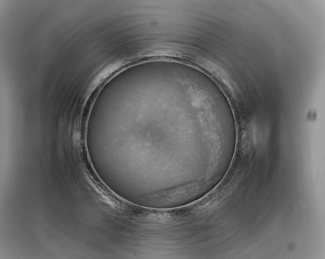 X0000097880882200803141317