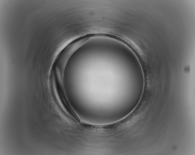 X0000097880885200803141317