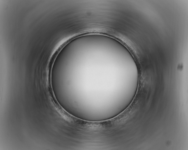 X0000097880886200803141317