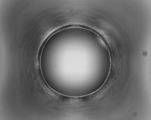 X0000097880887200803141317