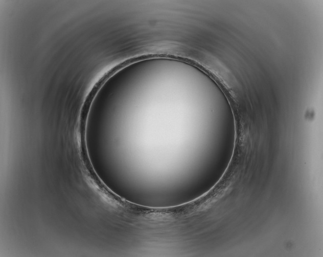 X0000097880888200803141317