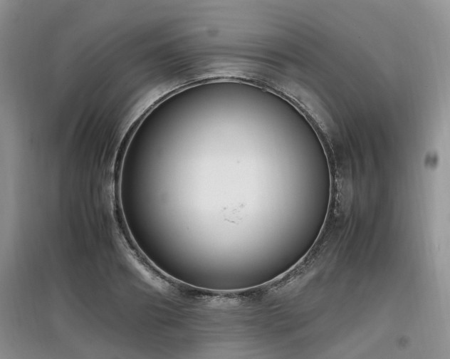 X0000097880890200803141317