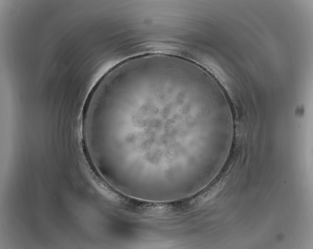 X0000097880891200803141317