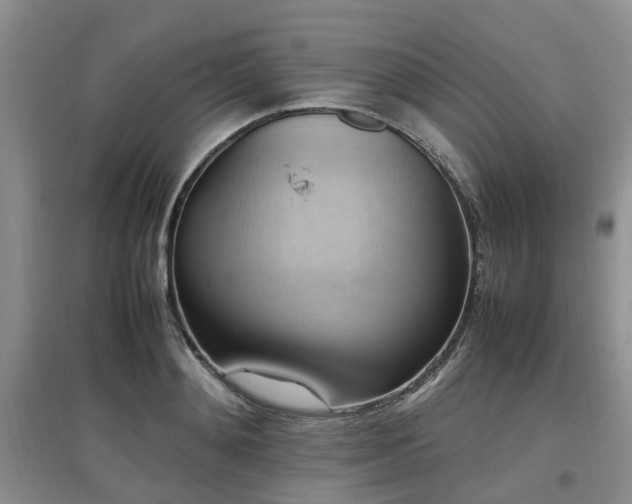 X0000097880892200803141317
