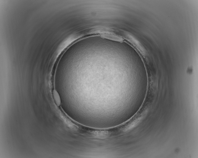 X0000097880893200803141317