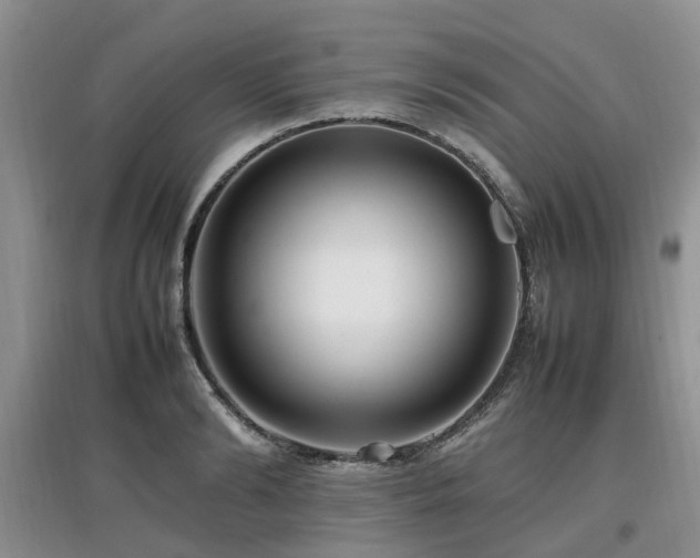 X0000097880894200803141317
