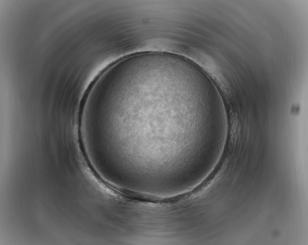 X0000097880896200803141317