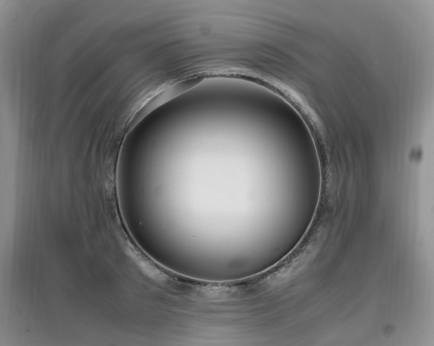 X0000097880897200803141317